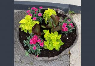 Best Kept Village Preparations and Village Improvements Article Photo - Pot outside The Crown